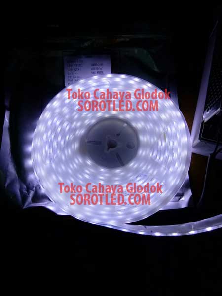 Lampu LED Strip IP68 Chip 5050 Pure White