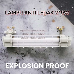 lampu explosion proof 2x9w